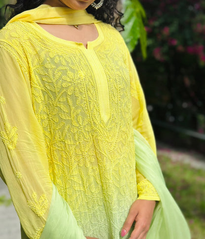 VISCOSE GEORGETTE CHIKANKARI JAAL WORK WITH DOUBLE SHADE