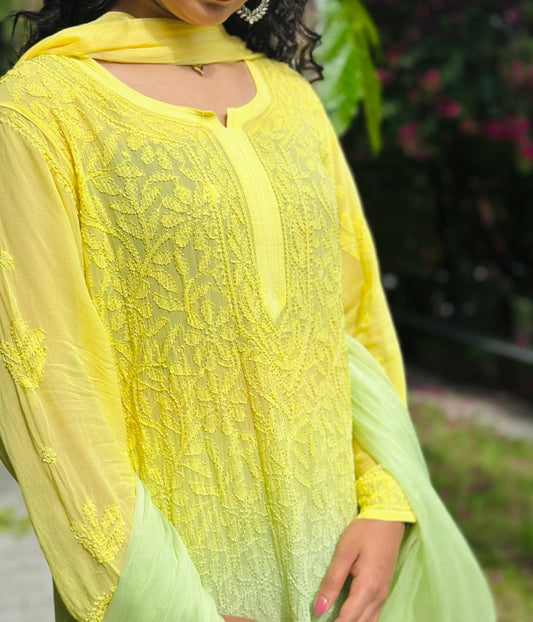 VISCOSE GEORGETTE CHIKANKARI JAAL WORK WITH DOUBLE SHADE
