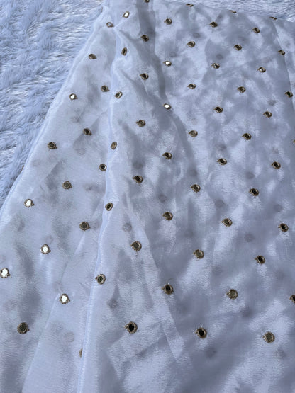 Chinon silk with mirror work fabric