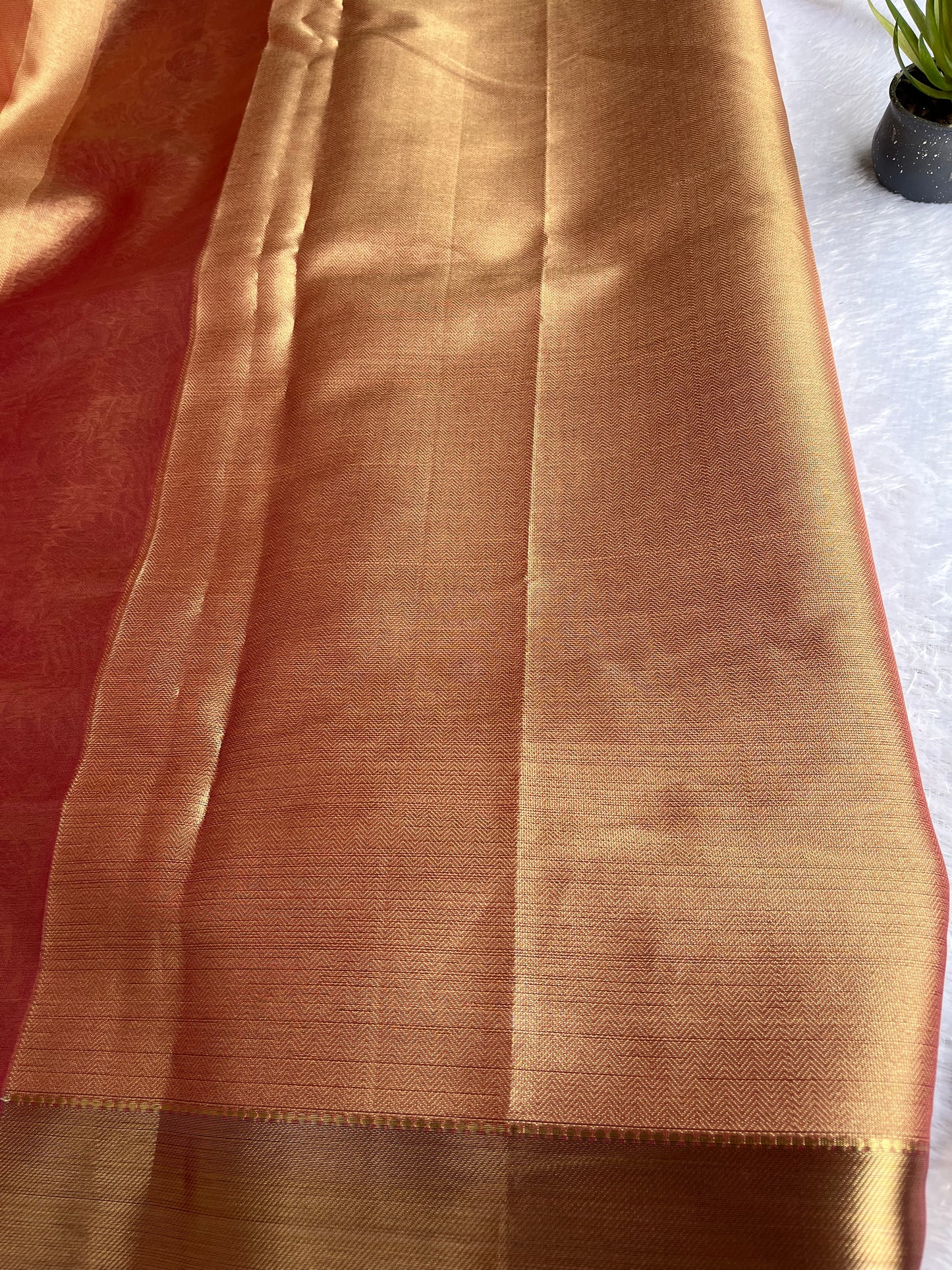 Tissue saree with beautiful self design