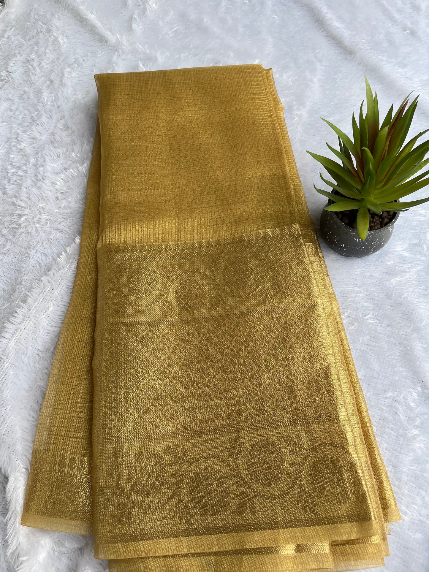 Golden tissue saree with border